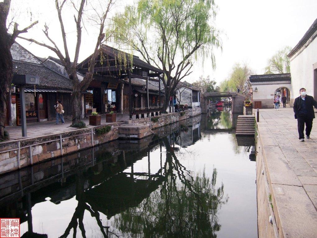 奔跑的兔子